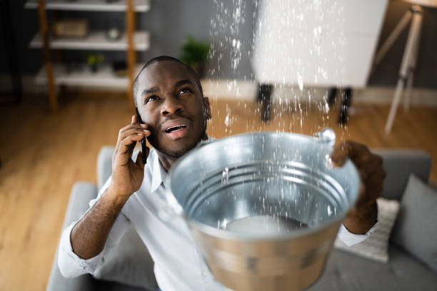 Best 24/7 water damage repair  in Green Meadows, OH