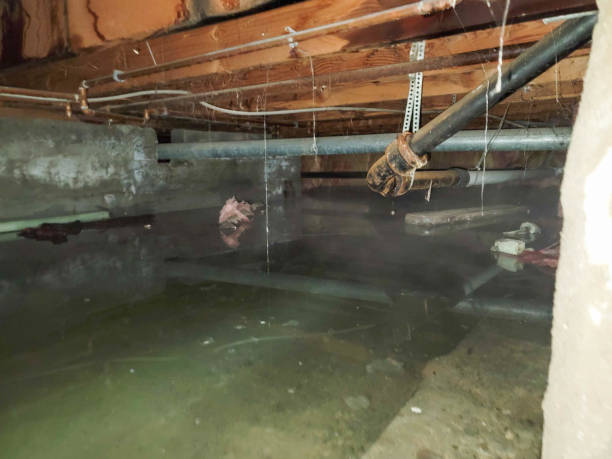 Reliable OH Water damage restoration Solutions