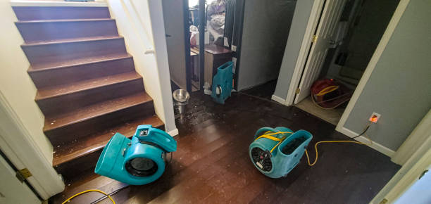 Best Water damage restoration process  in Green Meadows, OH