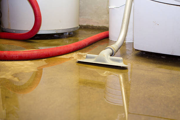Best Water damage contractors near me  in Green Meadows, OH